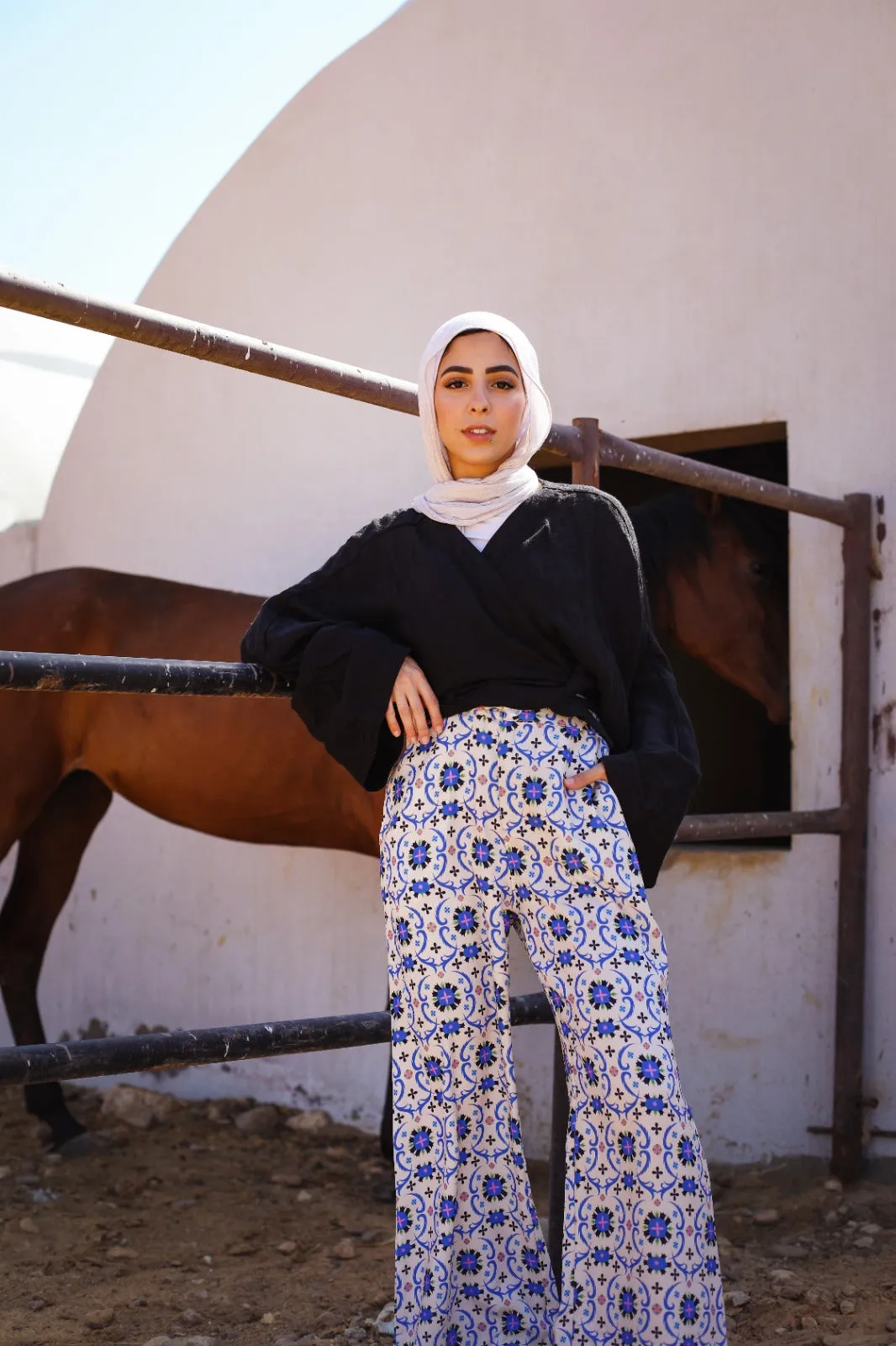 Marrakesh Inspired Crepe Pants