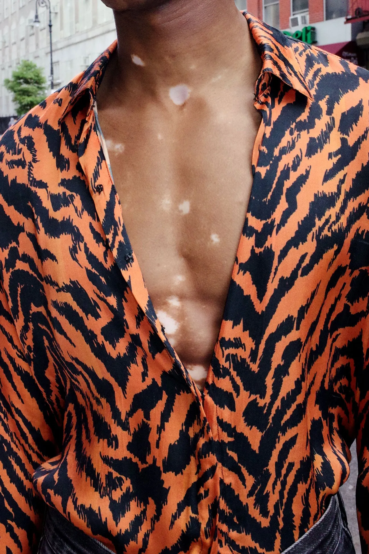 Tiger Print Button Down